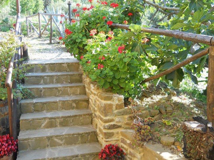 Laureana Cilento Casale San Martino Bed & Breakfast エクステリア 写真