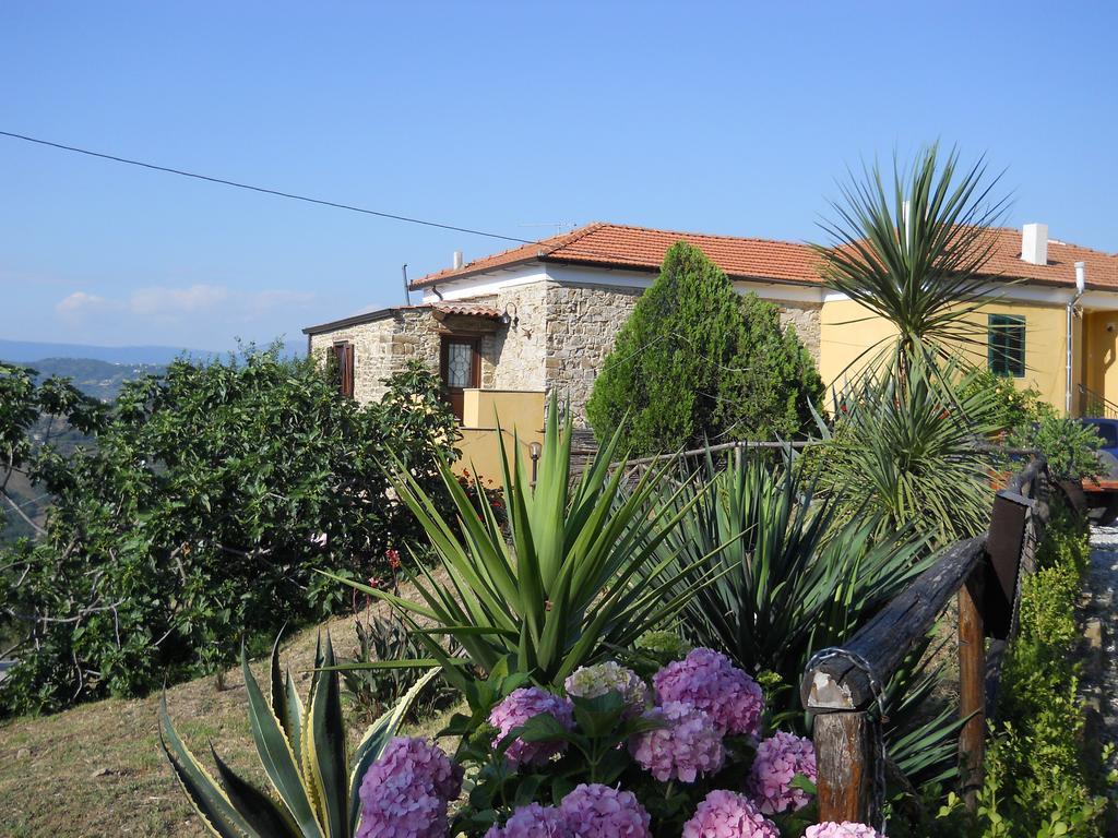 Laureana Cilento Casale San Martino Bed & Breakfast エクステリア 写真