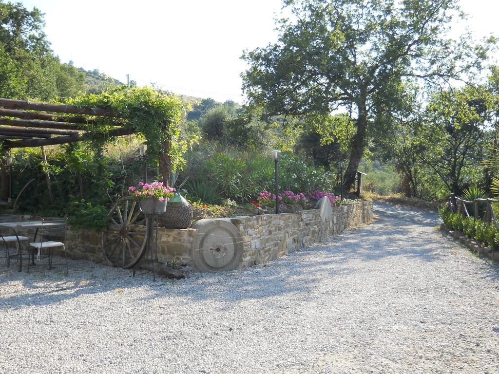 Laureana Cilento Casale San Martino Bed & Breakfast エクステリア 写真