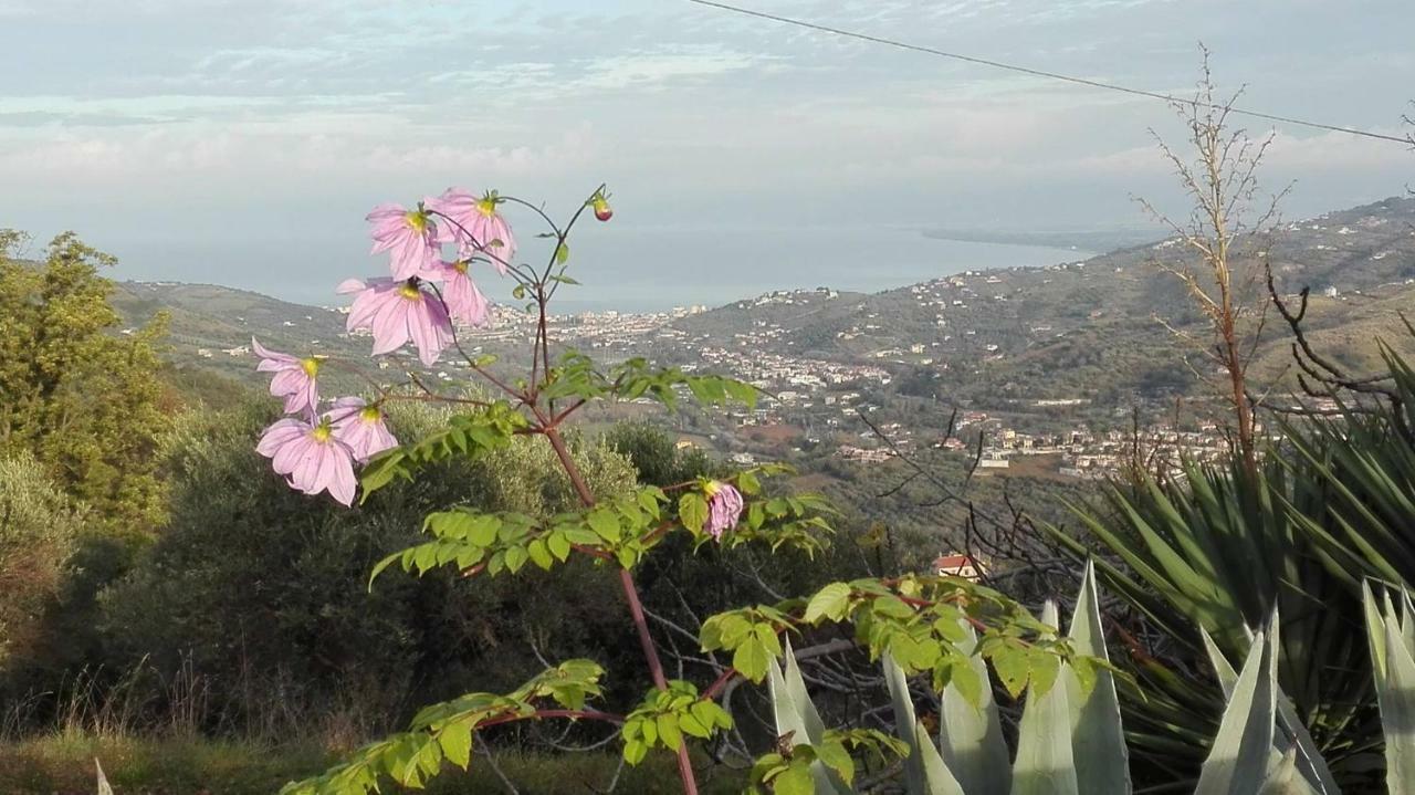 Laureana Cilento Casale San Martino Bed & Breakfast エクステリア 写真